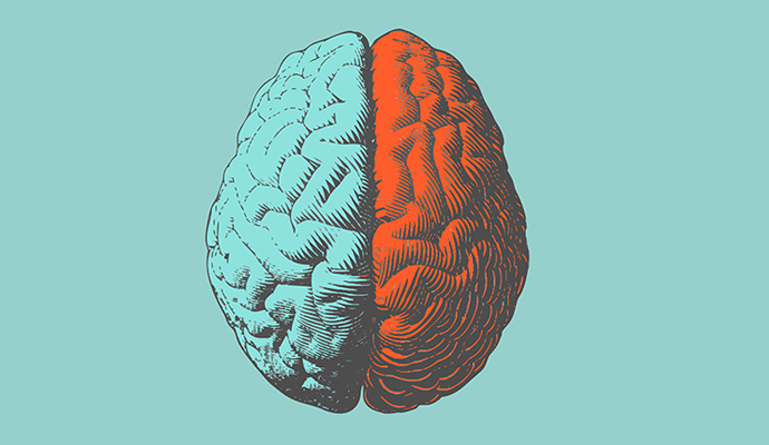 a brain on a light blue background. the left hemisphere of the brain is blue, and the right is red.