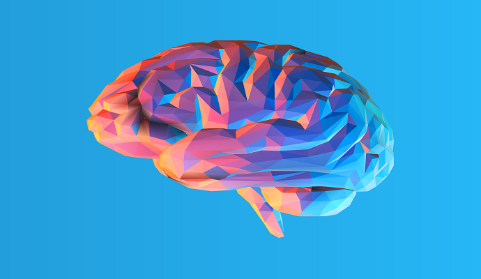 AI brain age prediction neurology