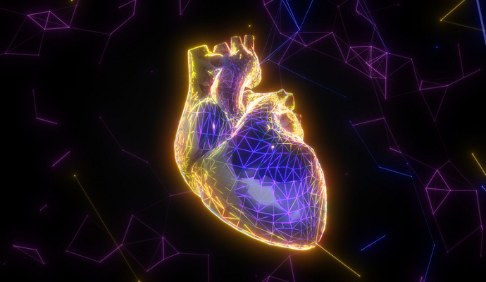 Deep Learning Model Accurately Detects Cardiac Function, Disease