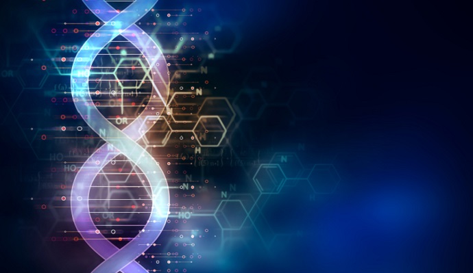 an illustration of a strand of DNA